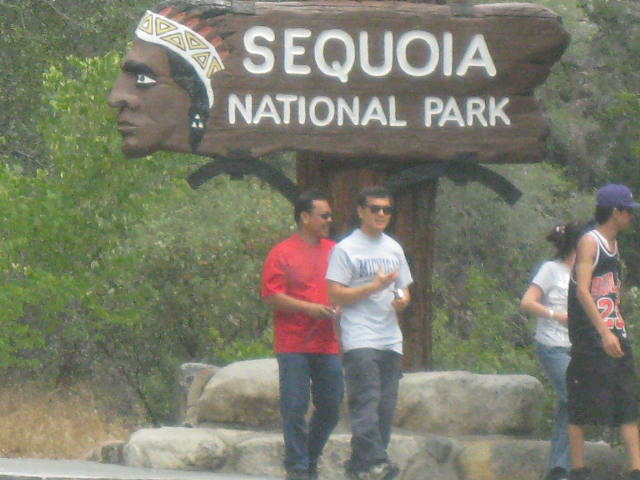 Our Sequoia Trip